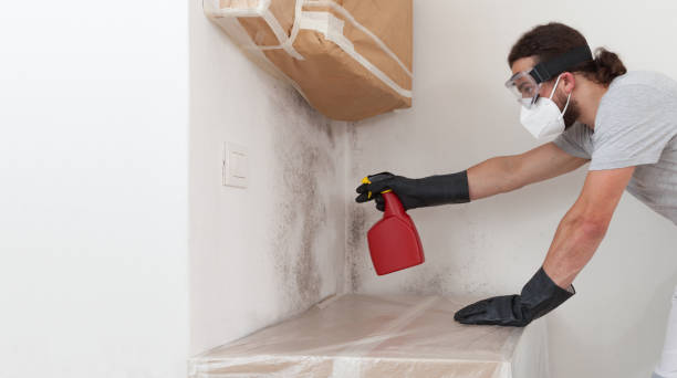 Professional Bathroom Mold Removal technician working in Watsontown, PA